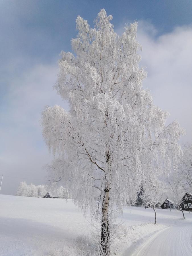 Sirovka Villa Horní Polubný Bagian luar foto