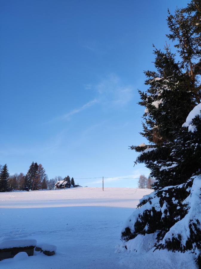 Sirovka Villa Horní Polubný Bagian luar foto